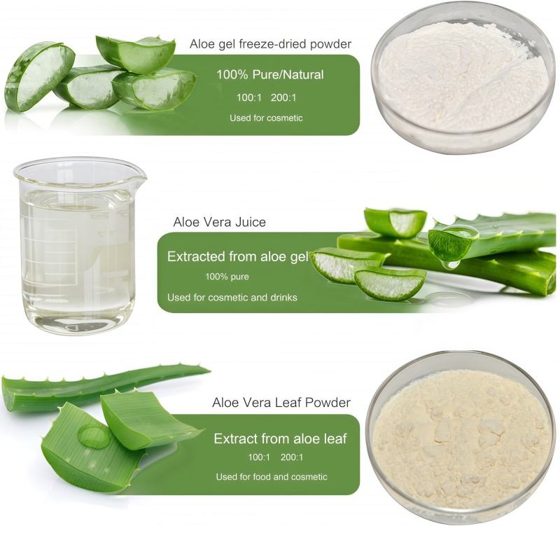 芦荟相关产品.jpg