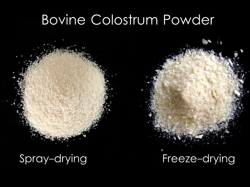 Colostrum powder.jpg